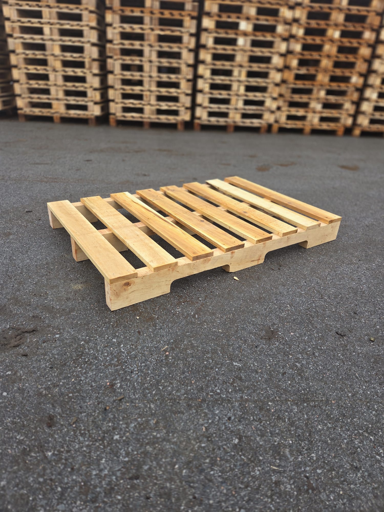 WhatsApp Image 2026-02-18 at 09.22.42