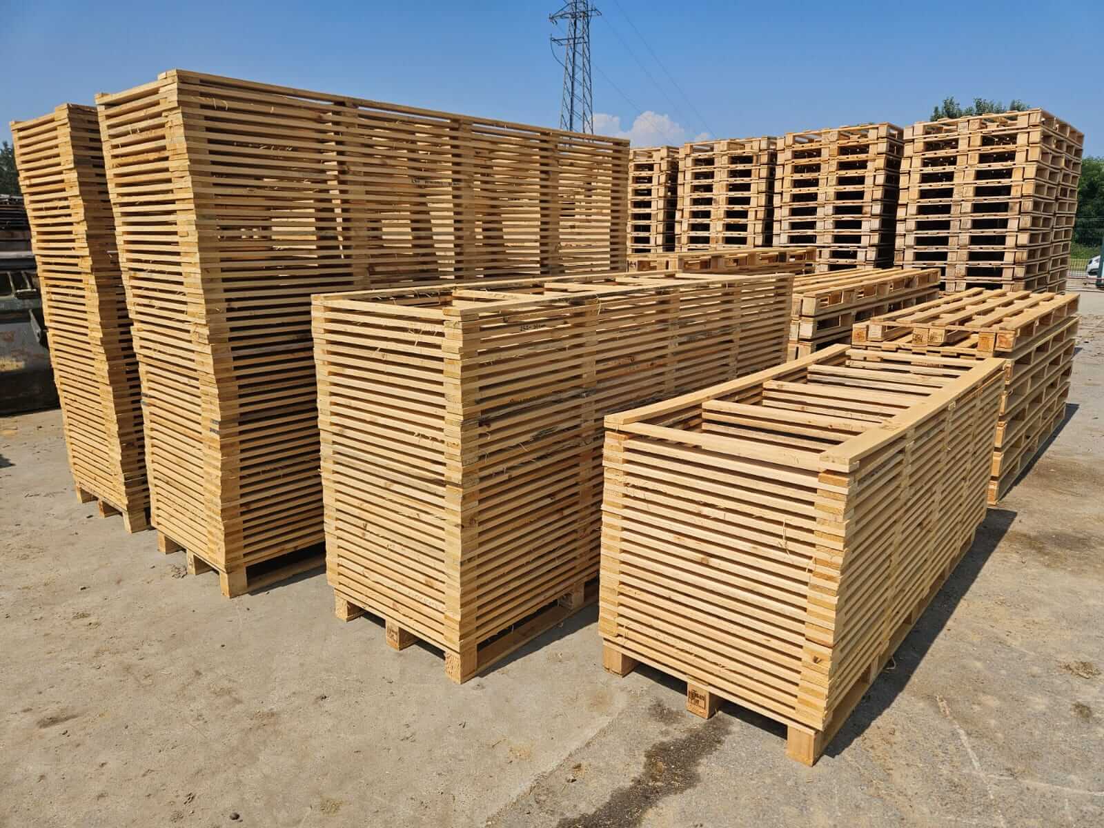 38739 (1)